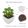 Simulated square plastic POTS for succulents are exclusively available for export details Picture